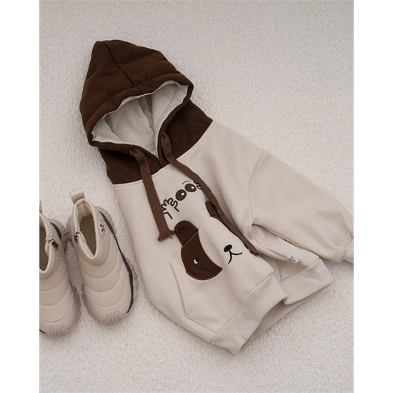 هودي خاکي طرح راکون