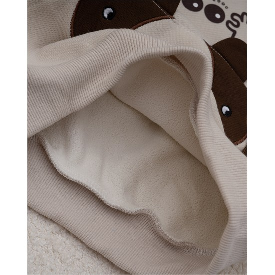 هودي خاکي طرح راکون