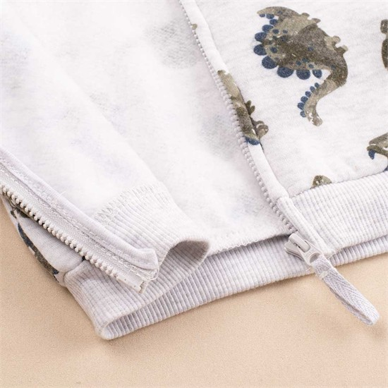 سویشرت طرح دایناسور کد 2150